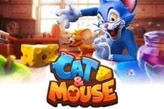 Cat & Mouse